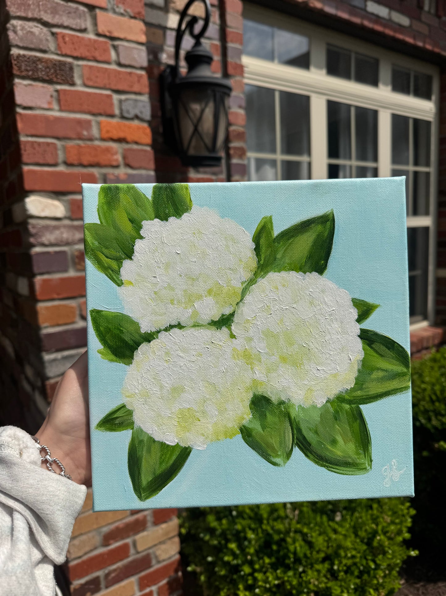 Hydrangea 10x10
