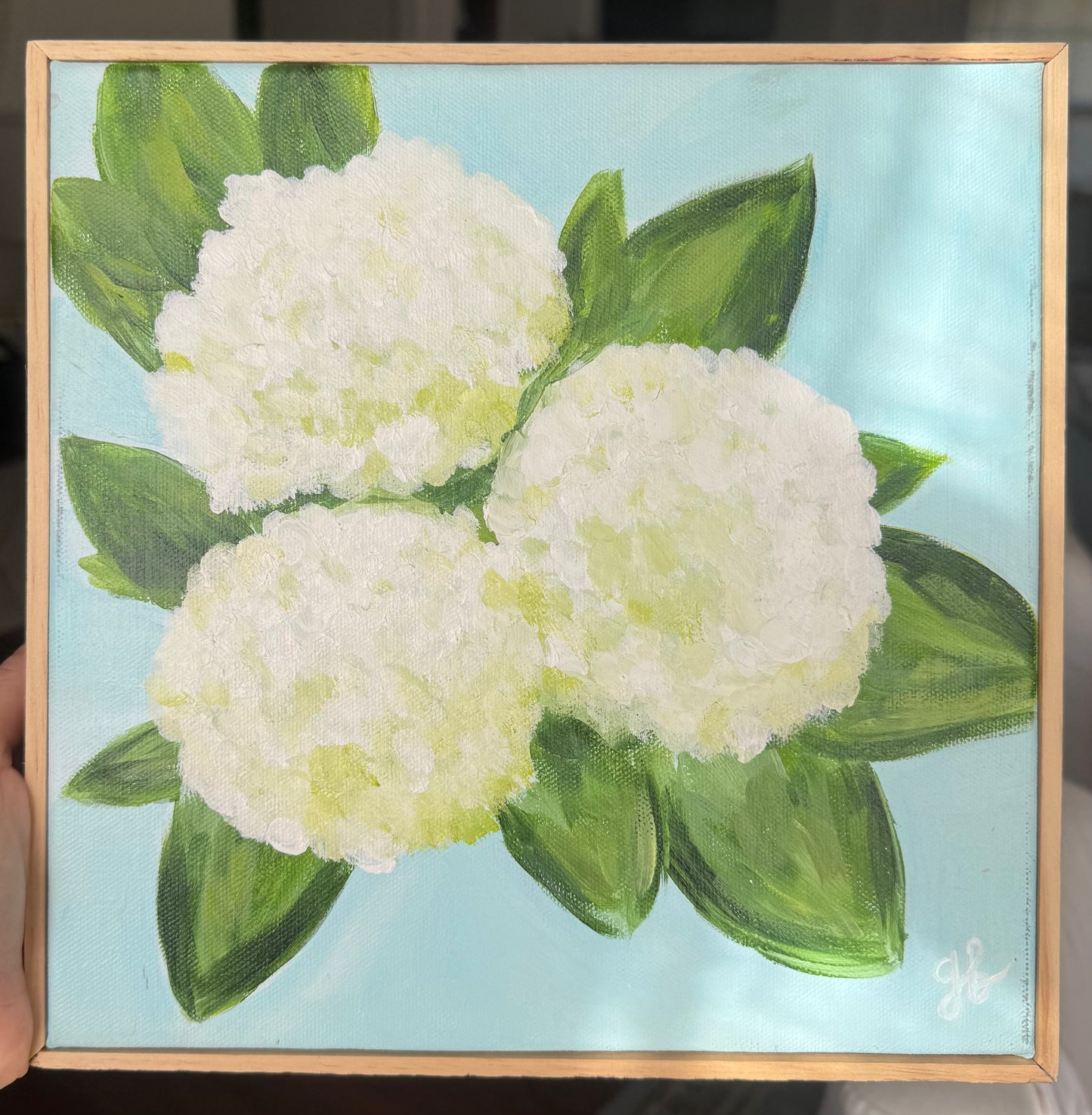 Hydrangea 10x10