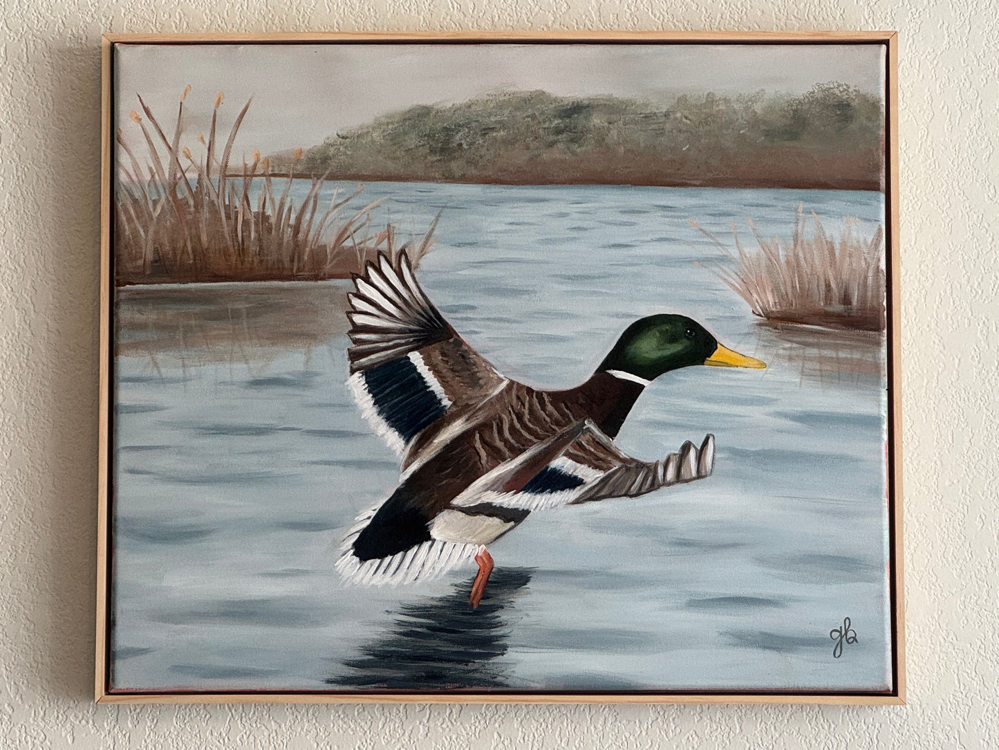 Mallard