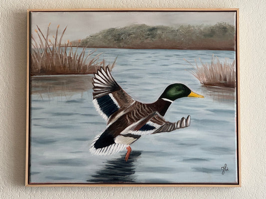 Mallard