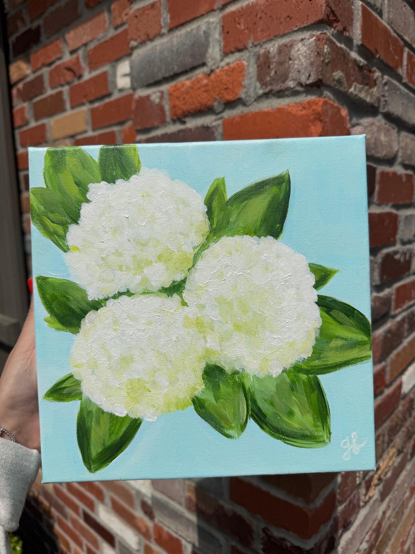 Hydrangea 10x10